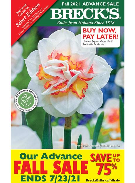 breck's bulbs|breck's bulbs catalogue.